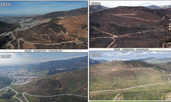 Yamanlar'da hayata dönüş!