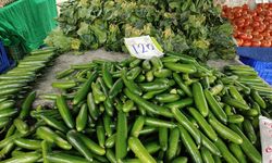 Fiyatı gören şaştı kaldı!