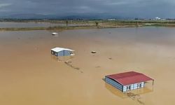 Doğanın intikamı… Hobi bahçeleri battı!