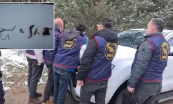 Vahşet... Ormanda bulunan kafatası ve kemikler 2 kadına ait çıktı!