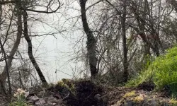 Hastanede ortaya çıktı: Evde doğan bebek araziye gömülmüş!