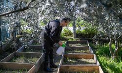 Meslek Fabrikası ile bahçeden ticarete!