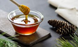 Türk Çam balı, Manuka balının tahtına göz dikti