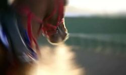 Sofraya düşen şampiyon atın sahibi konuştu!