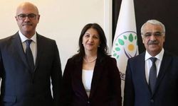 DEM Parti heyeti İmralı'dan döndü