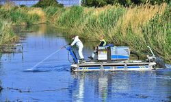 Büyükşehir'den çevre seferberliği: Milyonluk cezalar kesildi