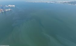 Vatan hainleri yine kirletti... Kasım'dan bugüne 8'inci kez!