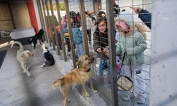 Büyükşehir'den on binlerce cana dokunan seferberlik