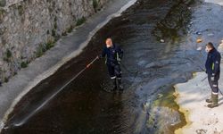 Büyükşehir'den ilaçlama seferberliği!