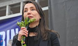 Hatimoğulları'ndan 'Suriye' açıklaması: 'Tek çare demokratik cumhuriyet'