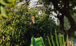 Balçova'dan dayanışma örneği