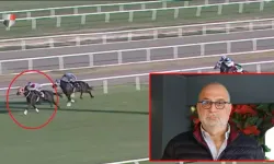 Kavurmadan İngiliz yarış atı çıkmıştı: Sahibine 132 bin TL ceza!