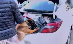 73 ilde torbacılara darbe: 475 tutuklama!