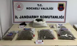 Kocaeli’de 40 adrese uyuşturucu baskını: 36 gözaltı