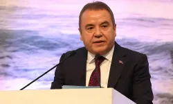 Muhittin Böcek'in şoförleri gözaltında