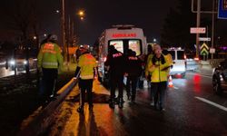 Yolun karşısına geçmek isterken canından oldu