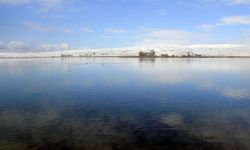 3 aylık av yasağı 1 Nisan'da başlayacak