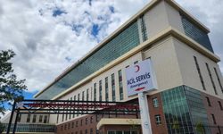 Otomobil şarampole yuvarlandı: 2 ölü, 2 ağır yaralı!