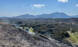 Muğla'da makilik alanda yangın