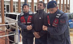 Bahçedeki ağaçlara zarar vermişti... Serbest bırakıldı