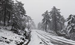 Kar sürprizi: Demirci beyaza büründü