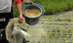 Gübre ithalatına savaş darbesi: “Yüzde 95 dışa bağımlıyız”