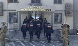 Evlat dehşeti... Annesini odunla öldürdü!