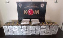 Aydın'da 24 bin dolu makaron ele geçirildi