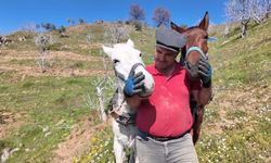 Günlük 8 bin lira ama işçi yok!