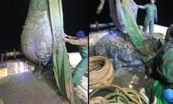 Foça'da çamur skandalı... Tugay firmayı savundu!