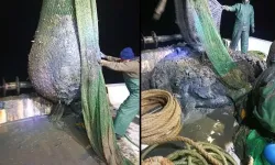 Foça'daki çamur skandalına uzmanından yorum: İspatı çok basit!