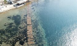 Bodrum'da deniz çekildi: Tarihi 'Kral Yolu' ortaya çıktı