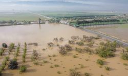Büyük Menderes Nehri taştı: Tarım arazileri sular altında!