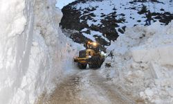 Çığ felaketi: Köy yolu ulaşıma kapandı