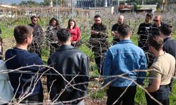Buca'nın üzüm bağı açık hava okuluna dönüştü