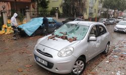 Denizli'de kuvvetli rüzgar... Ağaçlar uçtu, çatılar devrildi!