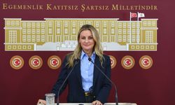 20 milyon metrekarelik tahsise CHP'li Ösen'den tepki!