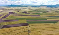 Resmi Gazete’de yayımlandı: İzmir'de arazi düzenlemesi