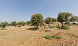 Kampüse komşu... Büyükşehir'den dev satış talebi!