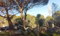 Kozak'a dinamit girişimi halka sorulacak!