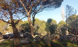 Kozak'a dinamit girişimi!