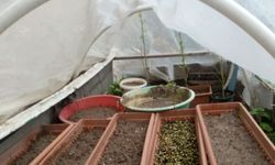 Aile içi şiddet için gittiler... Zehir terası çıktı!