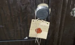 Korkunç cinayet: Misafirler gitti, döverek öldürdü