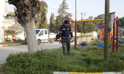 Koçarlı'ya yeşil dokunuş!