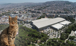 Büyükşehir'den 'yasak' kararı... Fotokopi makinelerine dışkıladılar!