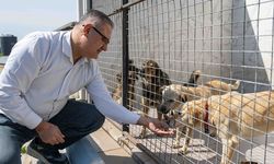 Bornova’da can dostlar için dayanışma