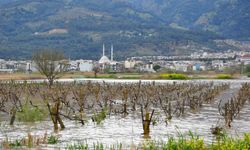 Sel bağları vurdu... Üretici tedirgin!
