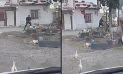 Tavuktan kaçması gündem olmuştu, sebebini anlattı: Çocukluktan kalma travmam vardı!