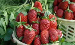 Egeli ihracatçılardan sürdürülebilirlik atağı