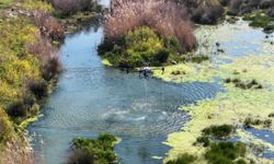 Manisa Büyükşehir Belediyesi’nden vektörle mücadelede yoğun mesai